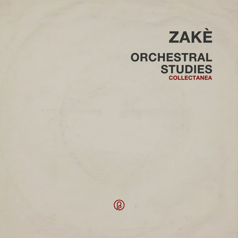 zake past inside the present label ambient drone healing sound propagandist lp vinyl orchestral studies collectanea tape