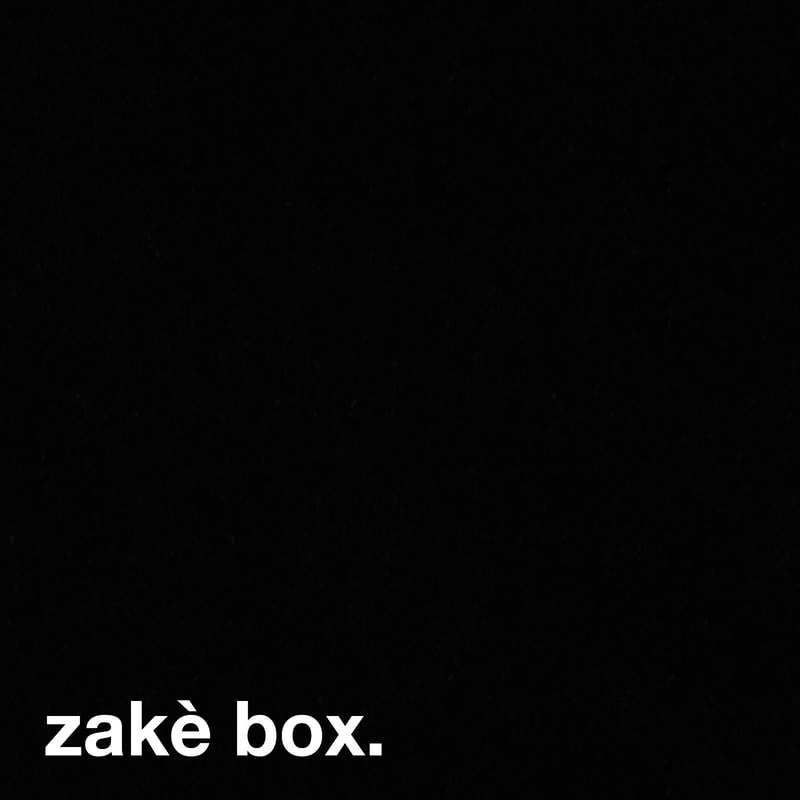 zake box past inside the present ambient drone healing sound propagandist boxset lp vinyl pitp color