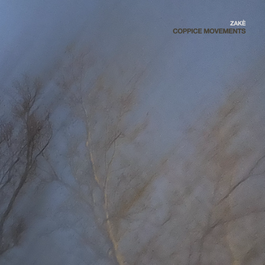 zake drone ambient past inside the present coppice movements cd lp drone healing sound propagandist